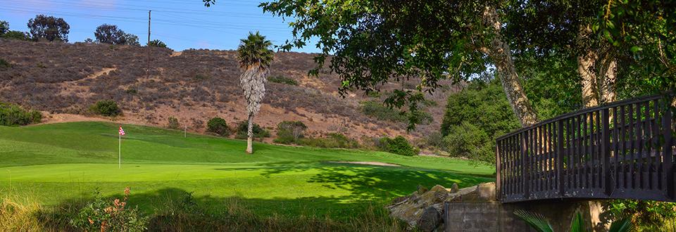 tecolote golf course shady trees